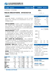 智能交通+智慧安防双轮驱动，协同效应逐步凸显