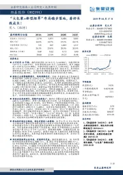 “大包装+新型烟草”布局稳步落地，看好长线成长！