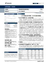 2018年年报点评：18年业绩基本符合预期，19年开店指引超预期