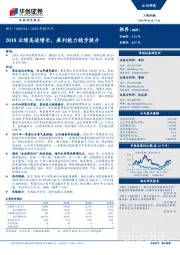 2018年报点评：2018业绩高速增长，盈利能力稳步提升