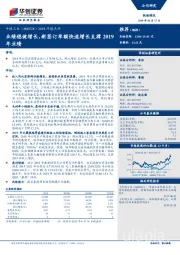 2018年报点评：业绩稳健增长，新签订单额快速增长支撑2019年业绩