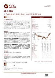 资产减值致业绩略低于预期，2019年展望保持积极