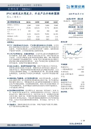 PVC助剂龙头再发力，开启产品升级新篇章