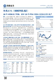 18年业绩略低于预期,看好19年PTA行情和文莱炼化项目投产