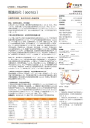业绩符合预期,炼化项目进入收尾阶段