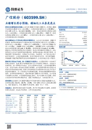 业绩增长符合预期，精细化工业务是亮点