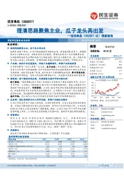 深度报告:理清思路聚焦主业,瓜子龙头再出发