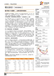 看好锡价中枢攀升,业绩有望持续增长