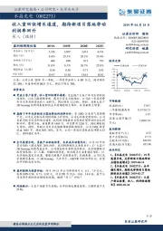 收入重回快增长通道，期待新项目落地带动利润率回升