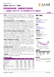 2018年年报暨2019年一季报点评:投资收益影响业绩,重视雅砻江长期价值