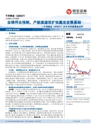 2018年年度报告点评:业绩符合预期,产能渠道双扩张奠定发展基础