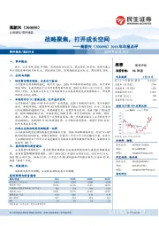 2018年年报点评：战略聚焦，打开成长空间