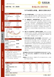 18年业绩符合预期，期待文莱炼化投产