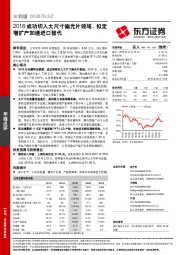 2018成功切入大尺寸偏光片领域，拟定增扩产加速进口替代