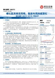 2019年一季报点评:磺化医药表现亮眼,氢能布局持续深化