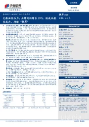 2018年报点评：克服油价压力，业绩同比增长19%，低成本航空龙头，持续“推荐”