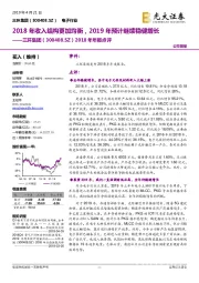 2018年年报点评：2018年收入结构更加均衡，2019年预计继续稳健增长