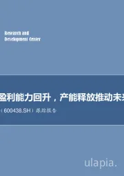 跟踪报告：光伏龙头盈利能力回升，产能释放推动未来业绩增长