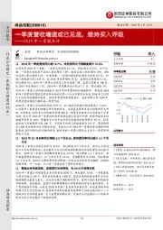 2019年一季报点评：一季度营收增速或已见底，维持买入评级