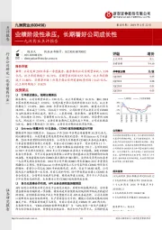 九洲药业点评报告:业绩阶段性承压,长期看好公司成长性