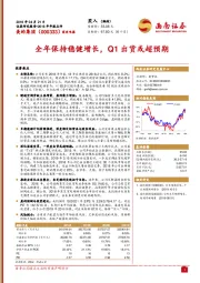 全年保持稳健增长，Q1出货或超预期