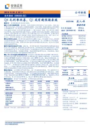 Q4毛利率改善，Q1或有超预期表现