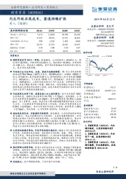 内生外延共筑成长,渠道持续扩张