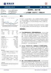 一季报点评：捷报频至，成长可期