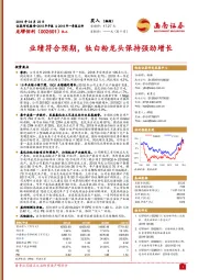 业绩符合预期,钛白粉龙头保持强劲增长