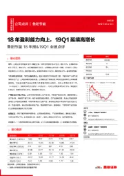 鲁阳节能18年报&19Q1业绩点评:18年盈利能力向上,19Q1延续高增长