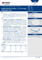 2018年报及2019年1季报点评：短期受杀菌剂需求波动影响，公司多项目稳步推进高速增长可期