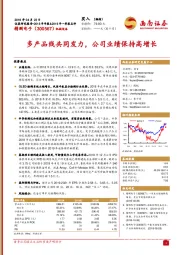 多产品线共同发力,公司业绩保持高增长