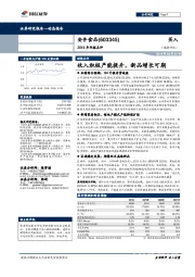 2018年年报点评：收入积极产能提升，新品增长可期