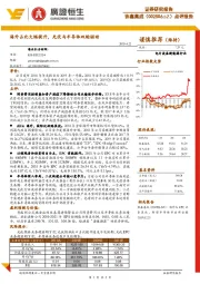 点评报告：海外占比大幅提升，光伏与半导体双轮驱动