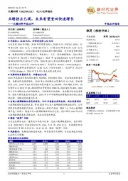 天赐材料年报点评:业绩拐点已现,未来有望重回快速增长