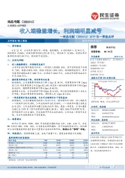2019年一季报点评:收入端稳健增长,利润端明显减亏