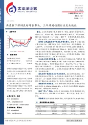 高基数下保持良好增长势头，三年规划稳固行业龙头地位