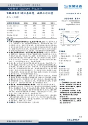 电解液降价+新业务培育，拖累公司业绩