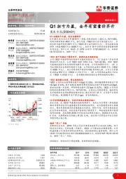 Q1扭亏为盈,全年有望量价齐升