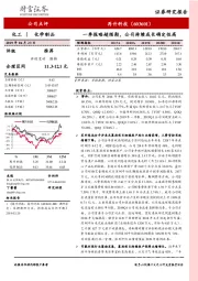 一季报略超预期,公司持续成长确定性高