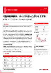 2019年一季报点评:毛利率持续提升,扣非利润增长25%符合预期