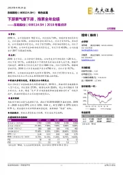 2018年报点评：下游景气度下滑，拖累全年业绩