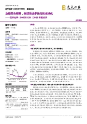 2018年报点评:业绩符合预期,继续推进多元化和全球化