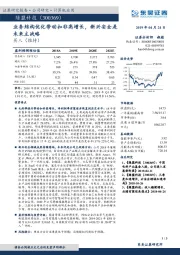 业务结构优化带动扣非高增长，新兴安全是未来主战略