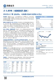 净利同比下降15.6%，吨钢盈利相对优势依旧突出