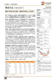 高端产品提升势头强劲,蓄势待发剑指5G新战场