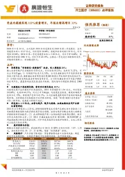 点评报告：受益内窥镜实现111%放量增长，年报业绩高增长33%