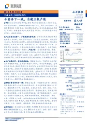 合资再下一城，自建正极产能