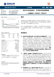 年报点评：光伏主业加速成长，半导体布局值得期待