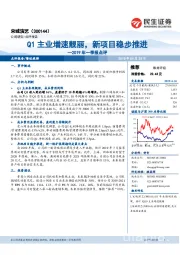 2019年一季报点评:Q1主业增速靓丽,新项目稳步推进